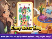 Laro Crazy Screw King online