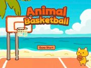 Laro Hayop ng basketball online