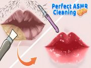 Laro Perpektong paglilinis ng ASMR online