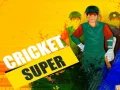 Laro Super Kriket online