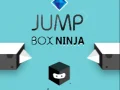 Laro Ninja Jump Box online