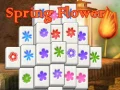 Laro Bulaklak ng Tagsibol online
