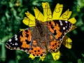 Laro Puzzle: Tagsibol online Laro Puzzle: Tagsibol online