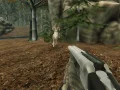 Laro Baliw na Mangangaso ng Kambing online