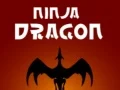 Laro Ninja Dragon online