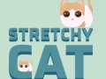Laro Stretchy Pusa online