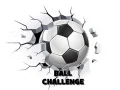 Laro Hamon ng Bola online Laro Hamon ng Bola online