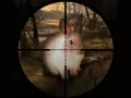 Laro Klasikal na Paghuhuli ng Pusa ng Sniper 2019 online