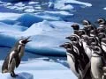 Laro Slide ng mga Penguin online