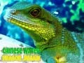 Laro Bugtong ng Chinese Water Dragon online Laro Bugtong ng Chinese Water Dragon online
