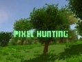 Laro Pagtugis ng Pixel online