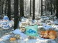 Laro Pakikipagsapalaran sa Gubat ng Winter Wonderland online