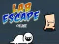 Laro Pagtakas mula sa Laboratoryo Online online