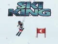 Laro Hari ng Ski online