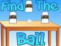 Laro Hanapin ang bola online