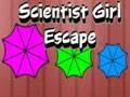 Laro Takas ng Scientist Girl online