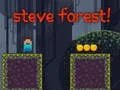 Laro Gubat ni Steve online Laro Gubat ni Steve online