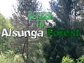 Laro Bumalik sa Gubat ng Alsunga online Laro Bumalik sa Gubat ng Alsunga online