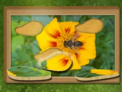 Laro Hanapin at Ibalik: Nakatagong puzzle online