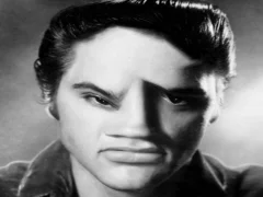 Laro Nakakatawang mukha ni Elvis online Laro Nakakatawang mukha ni Elvis online