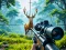 Laro Jungle Deer Hunting online