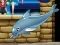 Laro Aking Dolphin Show 6 online