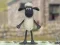 Laro Shaun Ang Tupa: Woolly Jumper! online