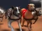 Laro L racing ng mga Greyhound online