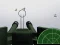 Laro Guro Flak online