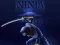 Laro Ninja Dash online