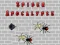 Laro Apokalipsis ng Spider online