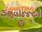 Laro Bilangin ang Squirrel online