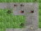 Laro Ayuda sa Tower Spider online