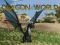 Laro Mundo ng Dragon online