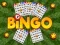 Laro Bingo online