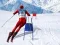 Laro Simulator ng Ski Slalom online