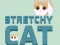 Laro Stretchy Pusa online