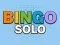 Laro Bingo Solo online