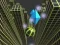 Laro Nagtatampok na Marble Rolling online