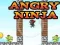 Laro Galit na Ninja online