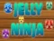 Laro Ninja Jelly online