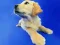 Laro Nakakatawang Pusa at Aso Jigsaw Puzzle online