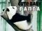 Laro Cute Baby Panda online