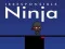 Laro Irresponsableng Ninja online