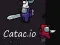 Laro Catac.io online