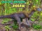 Laro Puzzle ng mga pinakamaliit na dinosaur online