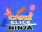 Laro Ninja Hiwa Kakanin online