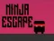 Laro Ninja Tumakas online
