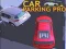 Laro Parking Pro online
