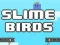 Laro Mga Ibong Slime online